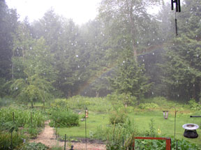 a rainbow in our backyard
